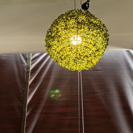 Rukmani Villas Group Of Rukmani Home Stay Mathura Extérieur photo